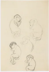 Fünf Studien eines schlafenden Kindes